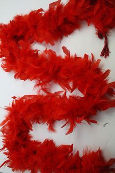 red feathers are arranged on a white surface