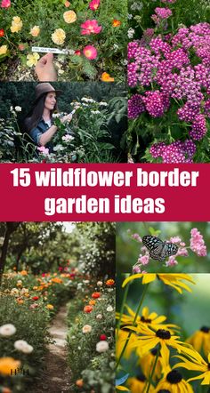 Creating a wildflower border garden is a fantastic way to bring color, wildlife, and natural beauty to your yard. Start by selecting a diverse range of flowers that bloom at different times of the year, ensuring a continuous show of color. Choose varieties suited to your local climate and sun exposure. Wildflowers generally need less … Nature Activities, Inner City