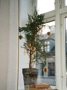 a potted plant sitting on top of a window sill next to two boxes