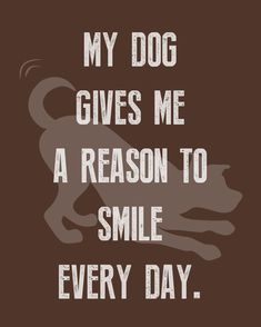 a dog with the words, my dog gives me a reason to smile every day