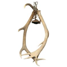 an antler lamp is hanging from the ceiling in front of a white background,