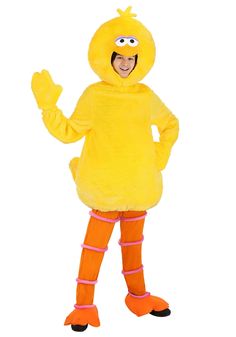 a person in a sesame character costume