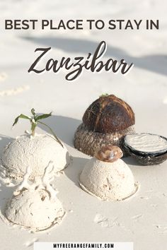 the best place to stay in zaysbaar is located on the beach with coconuts