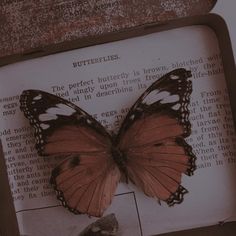 a butterfly sitting on top of an old book with the words butterflies written below it