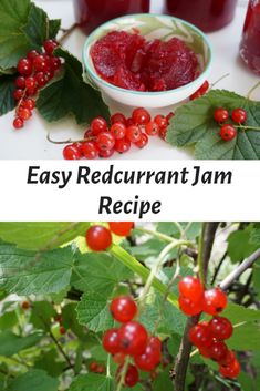 some red berries are in a bowl and on the branch with green leaves next to them