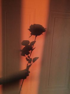 a black and white photo of a single rose in front of a door with the light coming through it