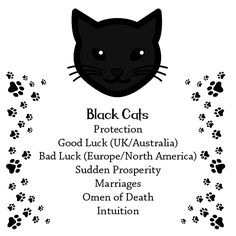 a black cat with paw prints and the words black cats protection god luck uk / australia bad luck europe / north america sudden prosperity