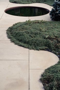 a small pond in the middle of a sidewalk with grass growing around it and bushes on either side