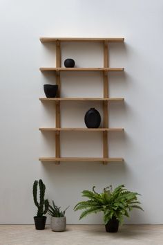 a wooden shelf with several black vases on it next to a potted plant