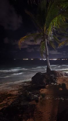 a palm tree sitting on top of a sandy beach next to the ocean at night