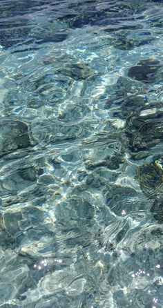 the water is crystal clear and there are rocks in it, as well as bubbles