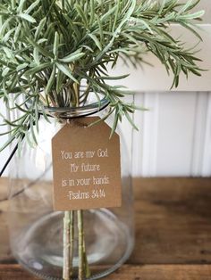 a plant in a glass vase with a card saying you are my god, my future is in your hands