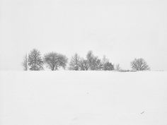 a snow covered field with trees in the distance