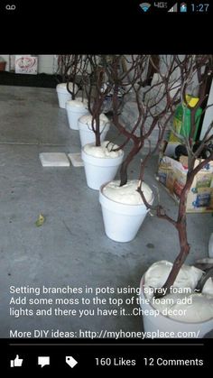 several white buckets are lined up with bare trees in the middle and one is empty