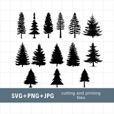 the silhouettes of different trees are shown in black and white, with text that reads sv