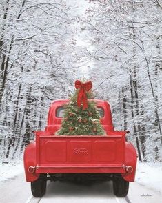 a red truck with a christmas tree in the back