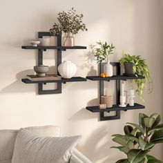 a living room filled with furniture and plants on the wall mounted shelves next to a couch