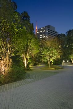 an empty walkway surrounded by trees and lights at night in a city with tall buildings