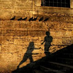 the shadow of a person standing in front of a stone wall with birds on it