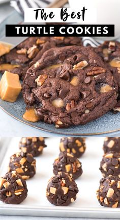 the best turtle cookies are made with chocolate and peanut butter