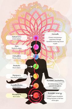 the body and mind are all connected to each other in this diagram, which shows different areas