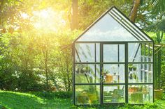 a green house in the middle of some trees and bushes with sunlight coming through it