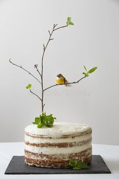 a cake with white frosting and a small bird on top is sitting on a branch