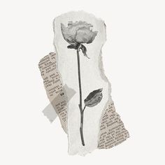 an old piece of paper with a rose on it and some torn up papers next to it