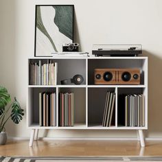 an entertainment center with record players, speakers and bookshelves in front of a plant