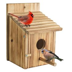 two birds sitting on top of a wooden bird house