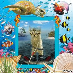 there is a cat that is standing in front of a picture frame with sea animals