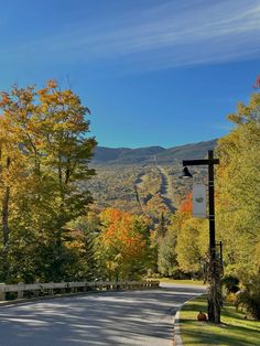 the road is empty and there are trees in the fall colors on both sides of the road