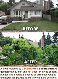 before and after photos of a house with trees in the front yard, then on the back lawn