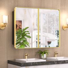 a bathroom with two sinks and a mirror on the wall next to plants in vases