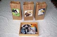 three bags with pictures of cats and birds in them