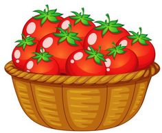 a basket full of tomatoes on a white background