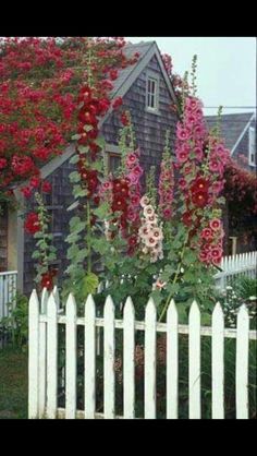 a white picket fence with red and pink flowers growing on it next to a house