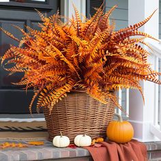 a basket filled with lots of orange flowers next to pumpkins on the front steps