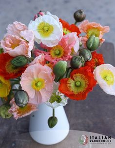 an arrangement of flowers in a white vase