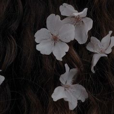 white flowers on top of long brown hair