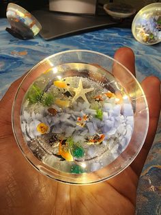 a hand holding a glass bowl filled with small fish