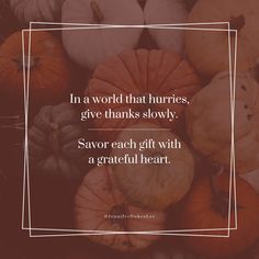 If we rush, we miss the miracles. If we don’t slow down, we miss the many gifts we’ve been granted, here in the land of the living. Land Of The Living, Content Curation, Grateful Heart, Give Thanks, Words Of Encouragement, Inspiring Quotes, Slow Down, The Land, Writers