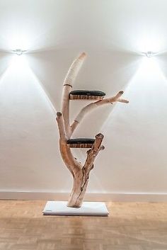 a chair made out of tree branches on top of a wooden floor in an empty room