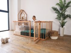 a small child in a wooden crib next to a dog and a potted plant