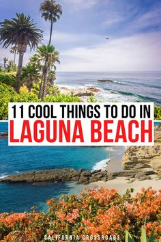 laguna beach with palm trees and flowers in the foreground text reads 11 cool things to do in laguna beach