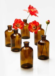 six brown glass vases with red flowers in them