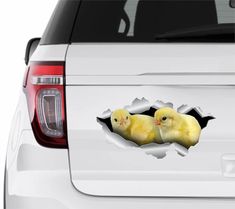 two yellow chicks are poking out of the side of a white truck