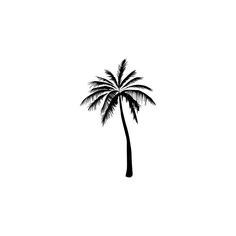 a black and white photo of a palm tree