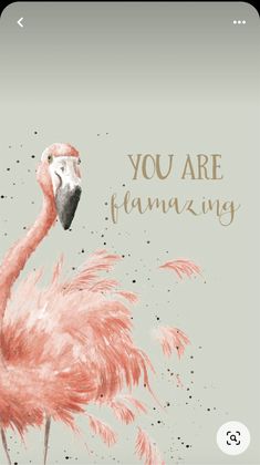 a pink flamingo standing in front of a green background with the words you are amazing