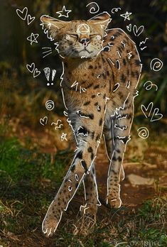 a drawing of a cat with hearts and arrows drawn on it's back legs